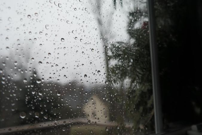 sundaze4 rainy window.jpg
